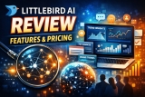 Littlebird AI Review (2026): Features, Pricing, Pros & Cons